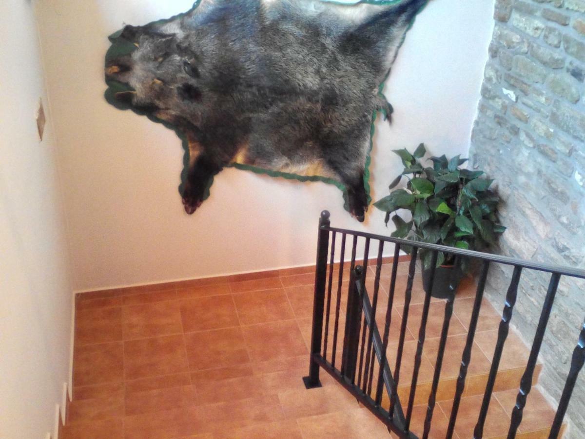 Jázmin Apartman Tihany Esterno foto